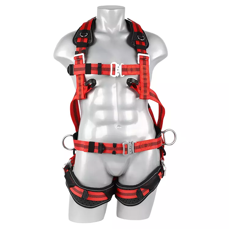 <a href=/fall-protection/ target=_blank class=infotextkey>Full body harness</a> FA40603 750x750.webp