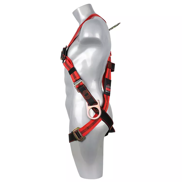 <a href=/fall-protection/ target=_blank class=infotextkey>Full body harness</a> FA30502 750x750-1.webp
