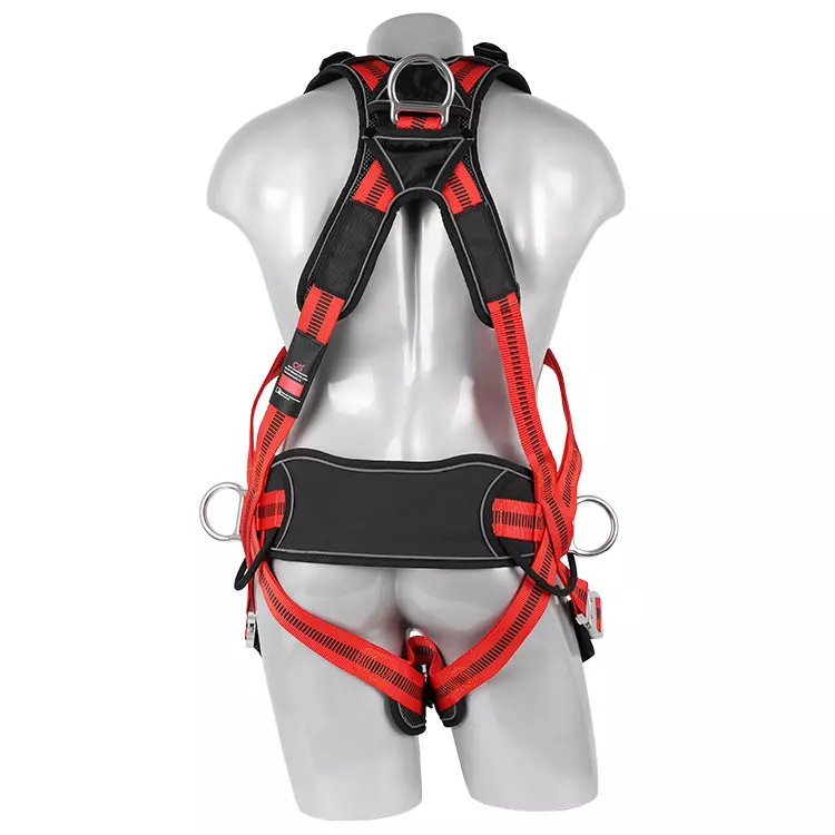 <a href=/fall-protection/ target=_blank class=infotextkey>Full body harness</a> FA40603 750x750-1.webp