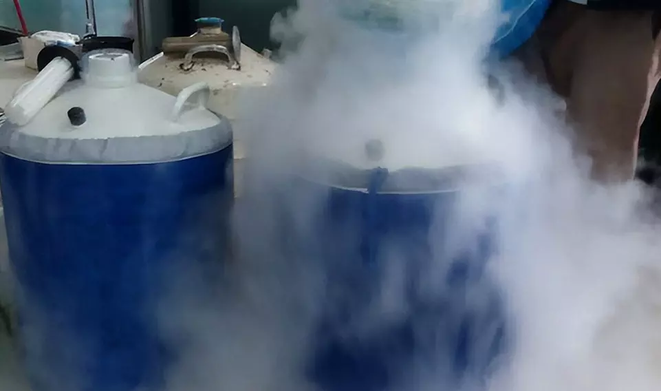 Working principle of liquid nitrogen protective clothing