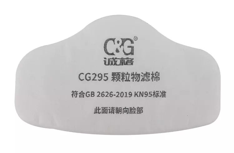 CG295 Particulate Filter-1.JPG